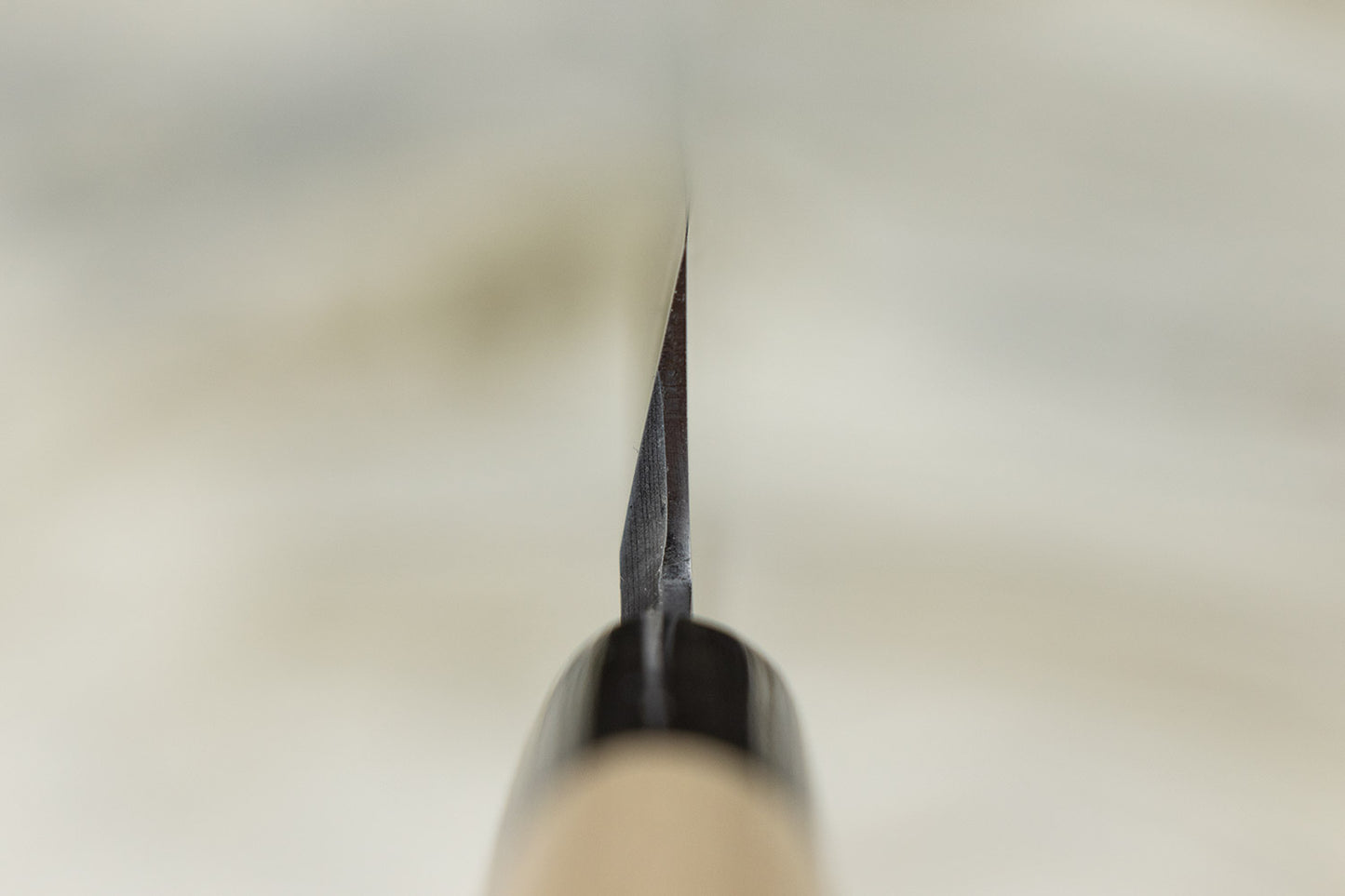 Sakai Takayuki Uzushio Yanagiba 240mm from Sakai Takayuki