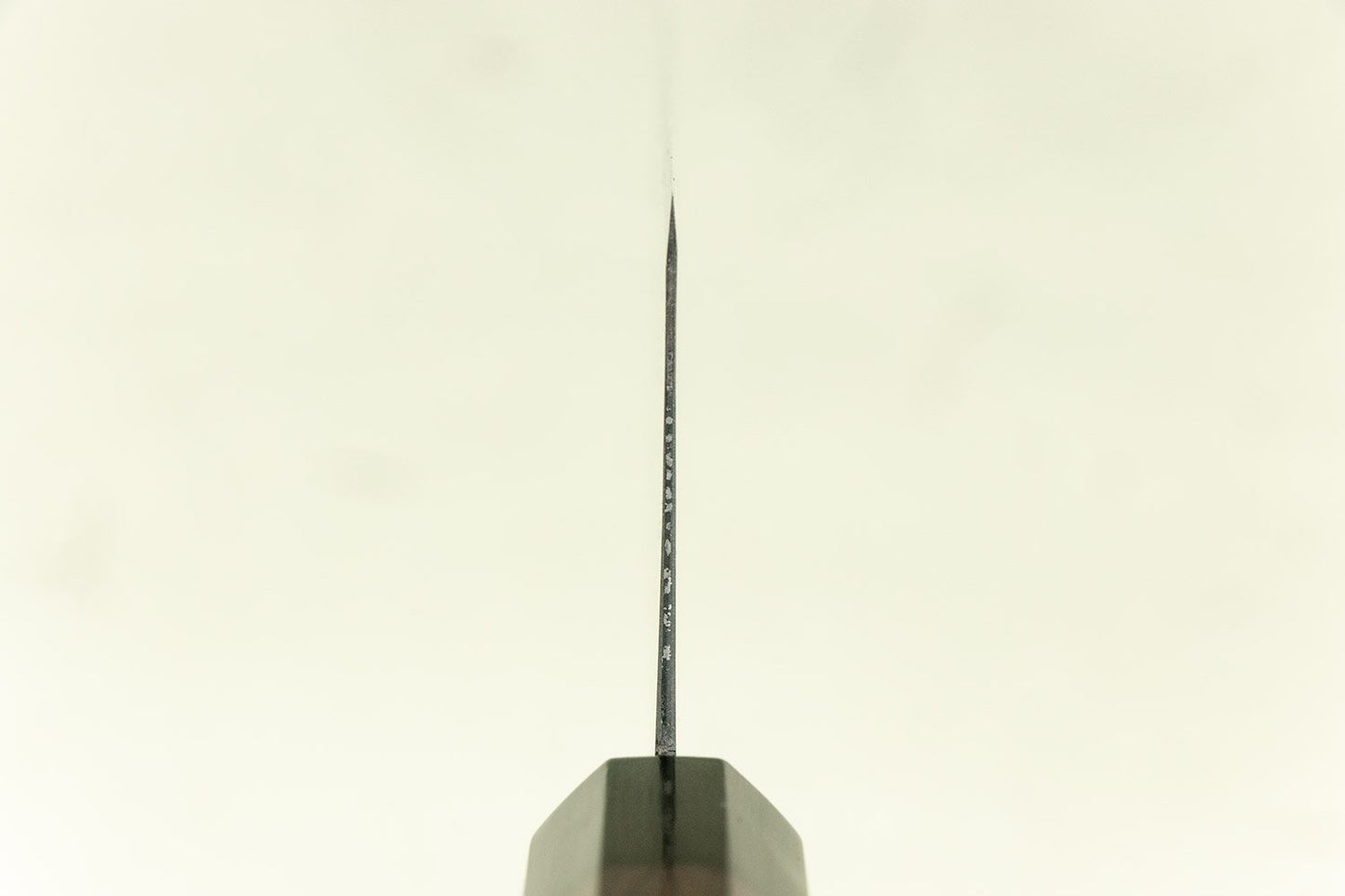 Takeda NAS Bunka 170mm from Shosui Takeda