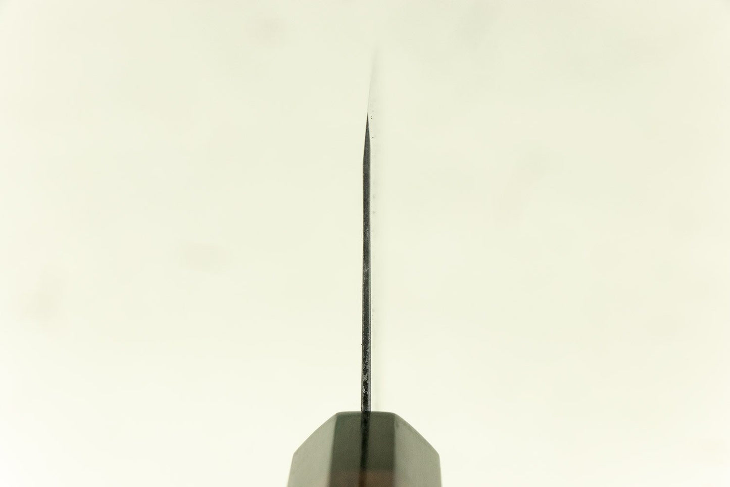 Takeda NAS Funayuki Santoku 180mm from Shosui Takeda