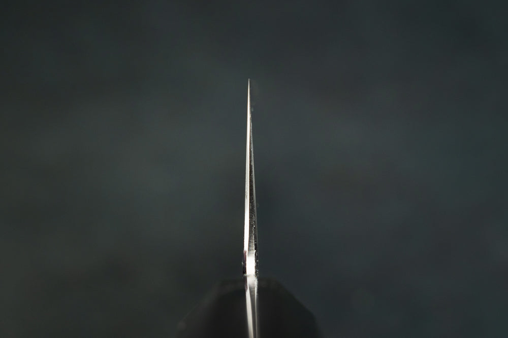 Tetsujin Hamono Aogami Kasumi Kiritsuke Gyuto 240mm from Tetsujin