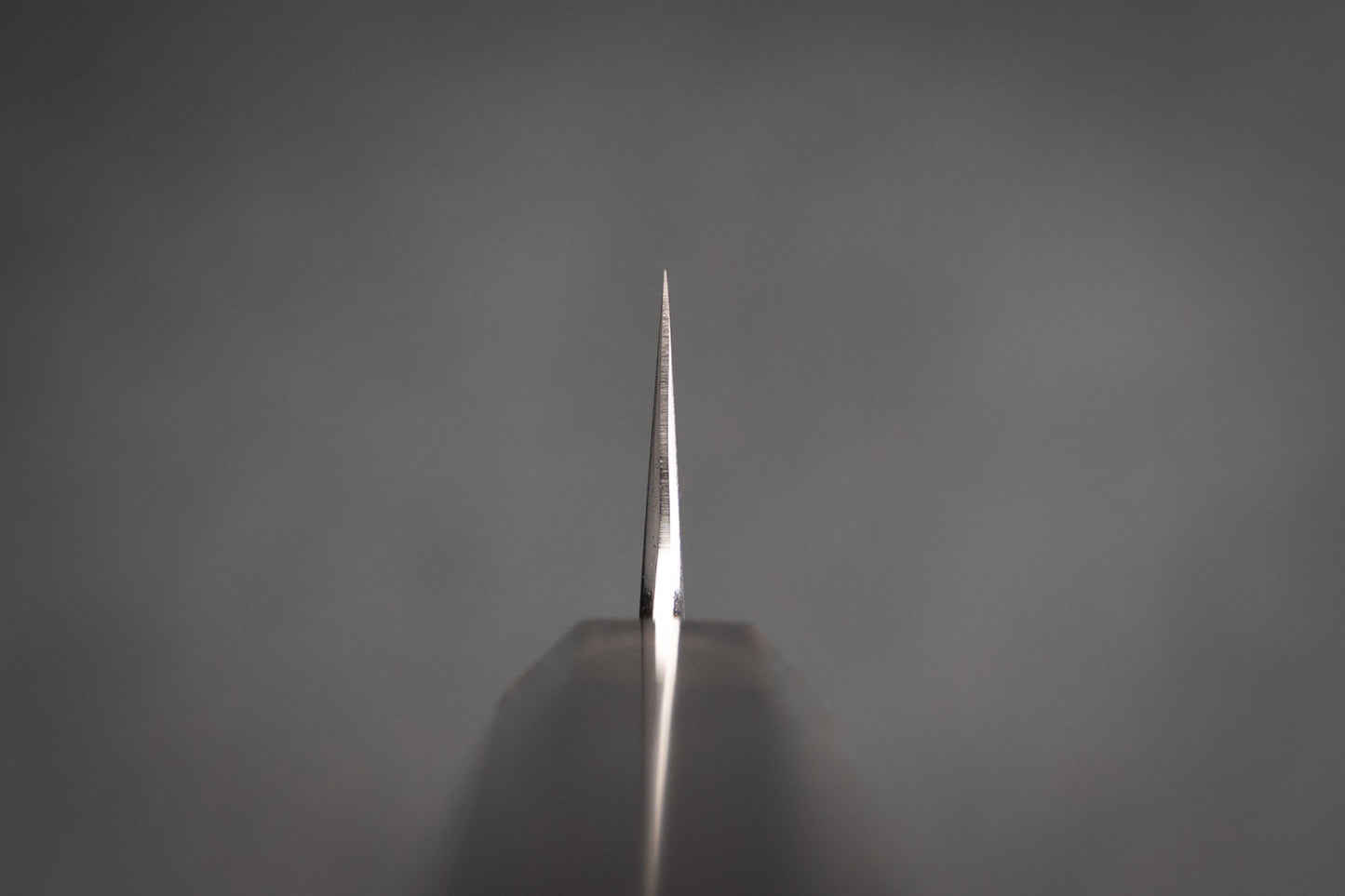 Tetsujin Hamono Aogami Kasumi Kiritsuke Sujihiki 240mm from Tetsujin