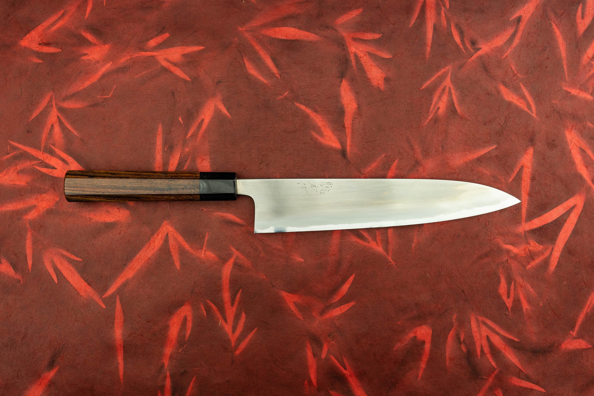 Toshihiro Wakui Shirogami Stainless Migaki Gyuto 240mm from Toshihiro Wakui