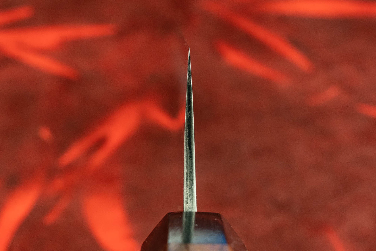 Toshihiro Wakui Shirogami Stainless Migaki Gyuto 240mm from Toshihiro Wakui