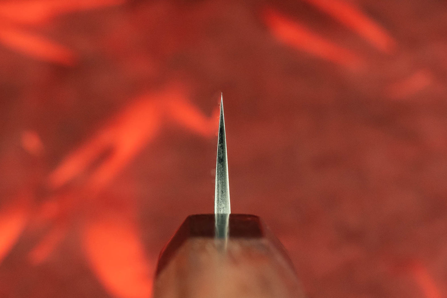 Toshihiro Wakui Shirogami Stainless Migaki Petty 135mm from Toshihiro Wakui