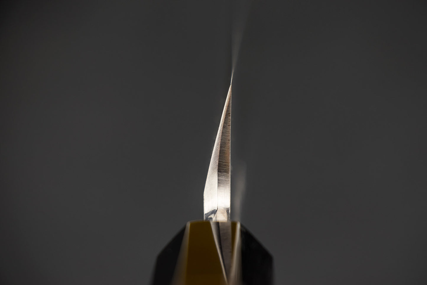 Sakai Takayuki Byakko Yanagiba 330mm from Sakai Takayuki