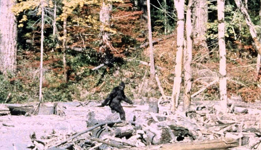 The Sasquatch Knife, the Primitive Tool of Canada's Favourite Cryptid