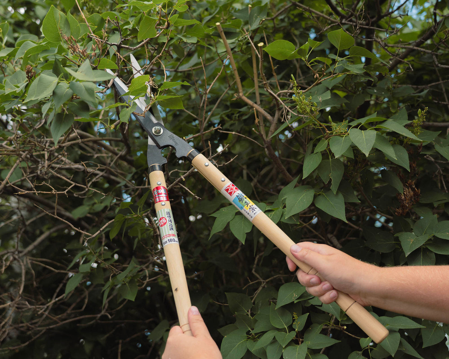 Japanese Gardening Tools