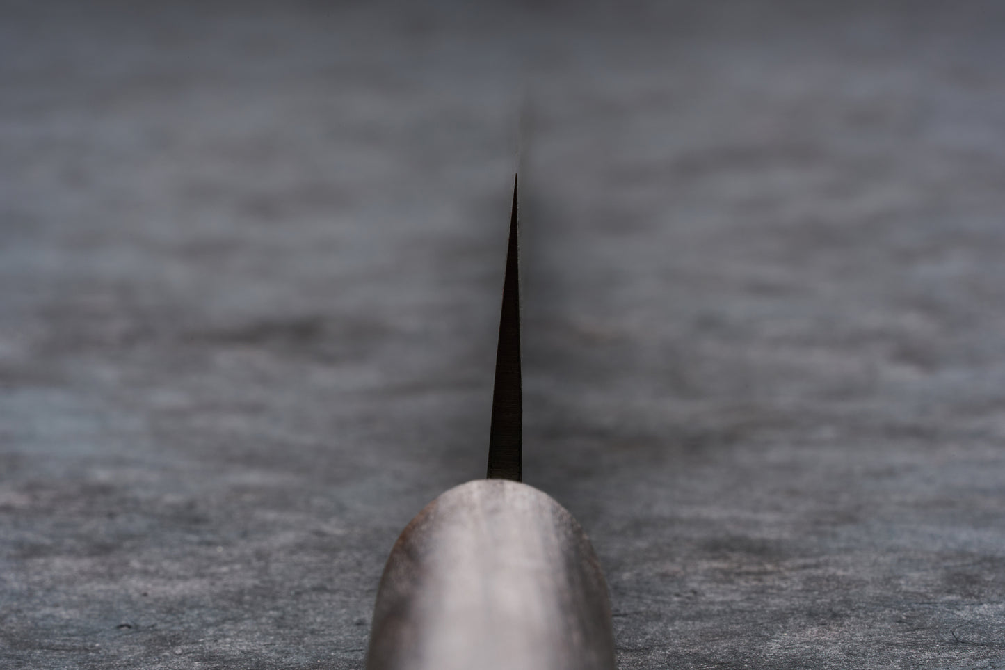 Fujimoto Nashiji Sujihiki 270mm