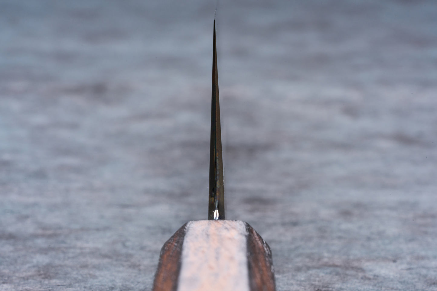 Hado Sakai Kirisame Gyuto 240mm