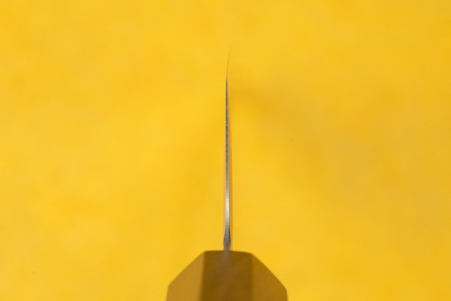 ICHIGO SLD Migaki Gyuto 150mm from Ichigo Ichie