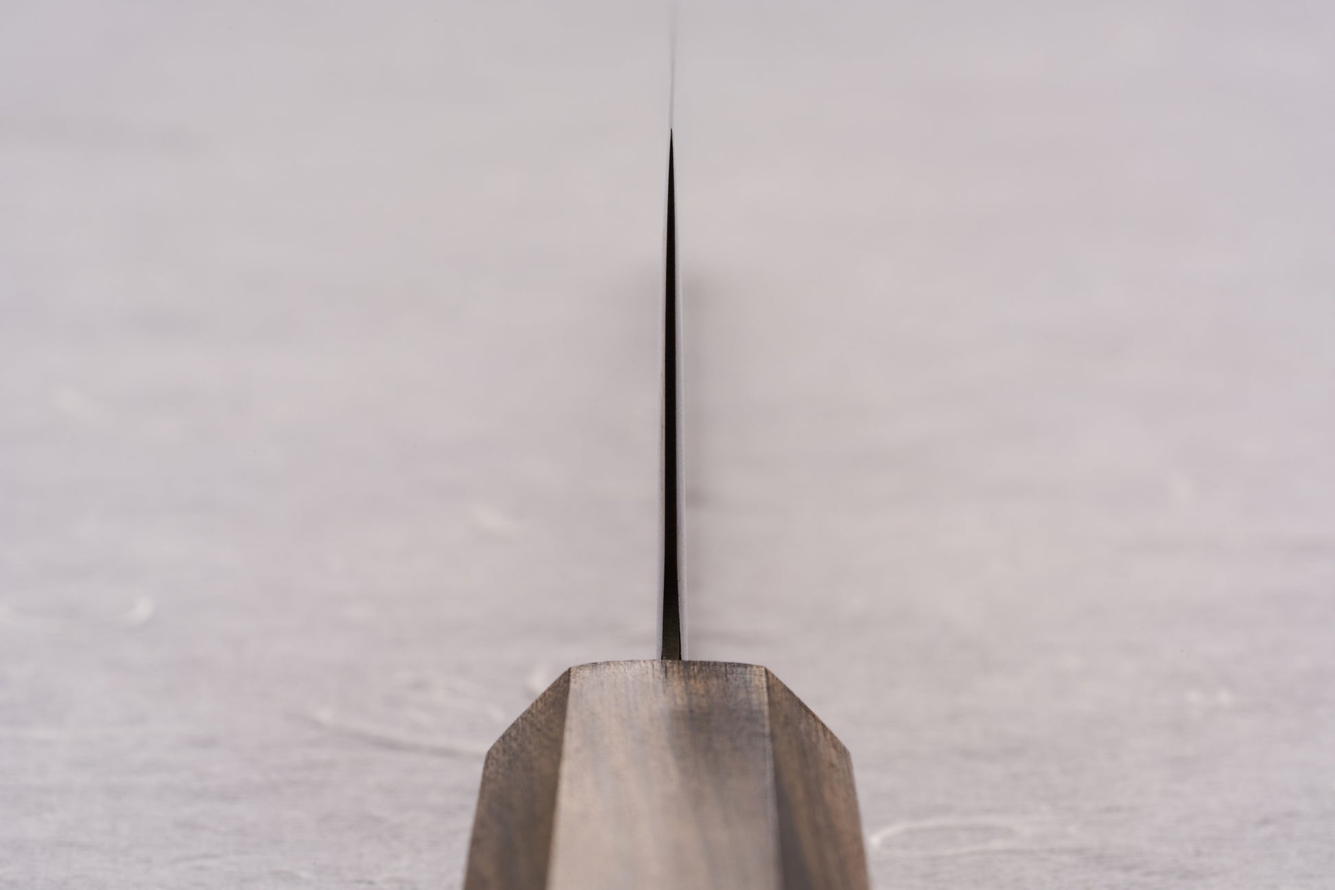 ICHIGO SLD Migaki Gyuto 195mm: A close-up view of the knife's slender blade emerging from its wooden handle, showcasing the polished finish and precise craftsmanship typical of Japanese kitchen knives.