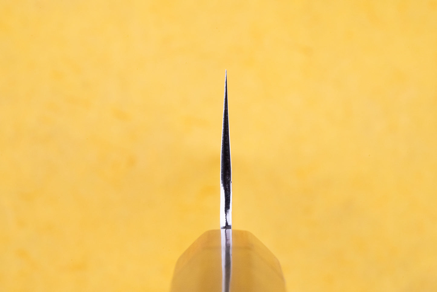 Makoto Kurosaki Coreless Kaen Tsuchime Gyuto 210mm from Makoto Kurosaki