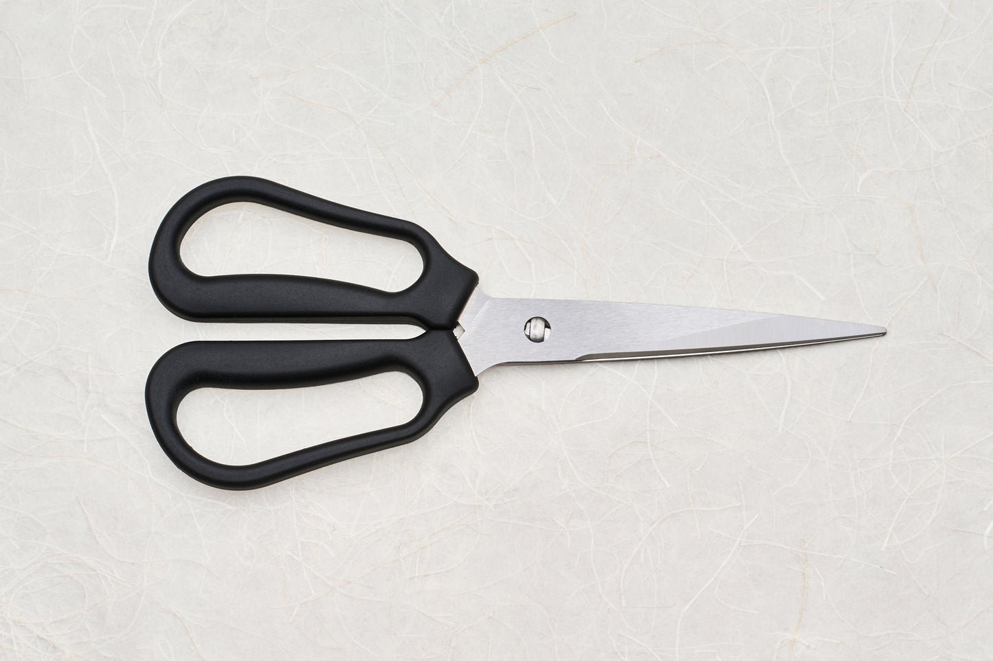 Marna Separable Kitchen Shears
