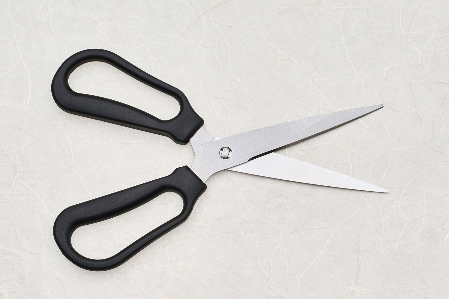 Marna Separable Kitchen Shears