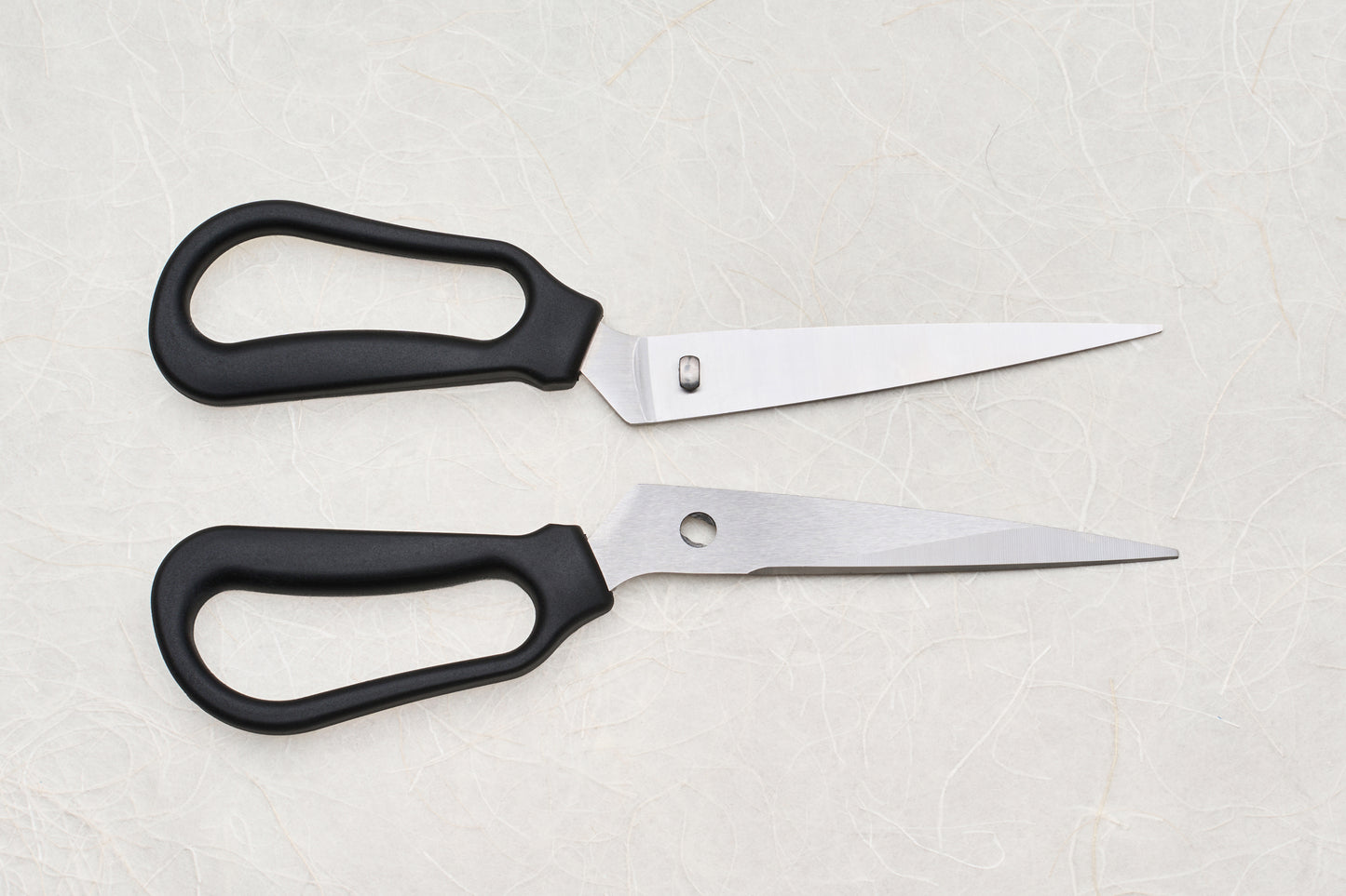 Marna Separable Kitchen Shears