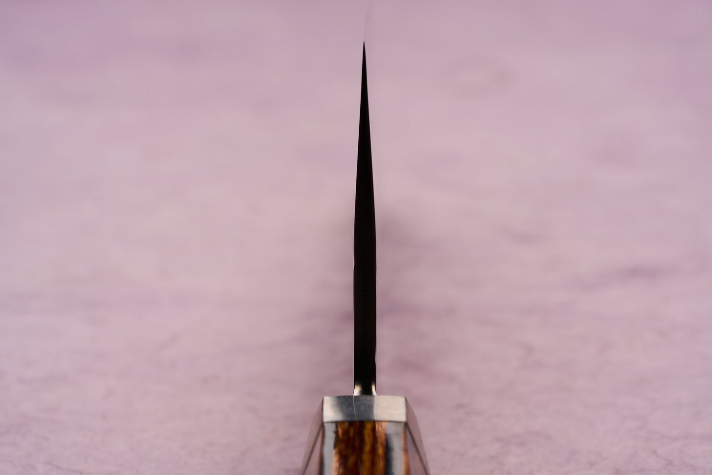 Ono Knife Suzukaze SG2 Tsuchime Damascus Gyuto 210mm, viewed head-on, showcases its thin spine balanced on a wooden handle with a metal bolster, highlighting precision craftsmanship and cutting-edge design.