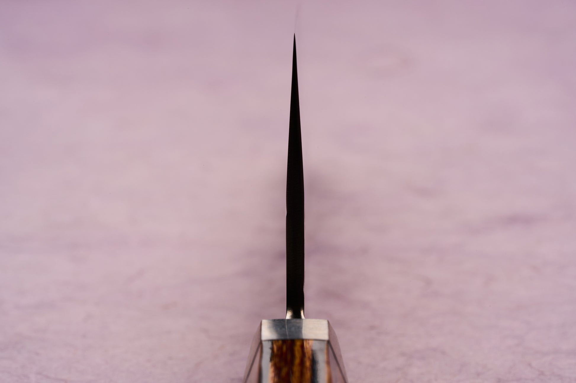 Ono Knife Suzukaze SG2 Tsuchime Damascus Gyuto 210mm, viewed head-on, showcases its thin spine balanced on a wooden handle with a metal bolster, highlighting precision craftsmanship and cutting-edge design.