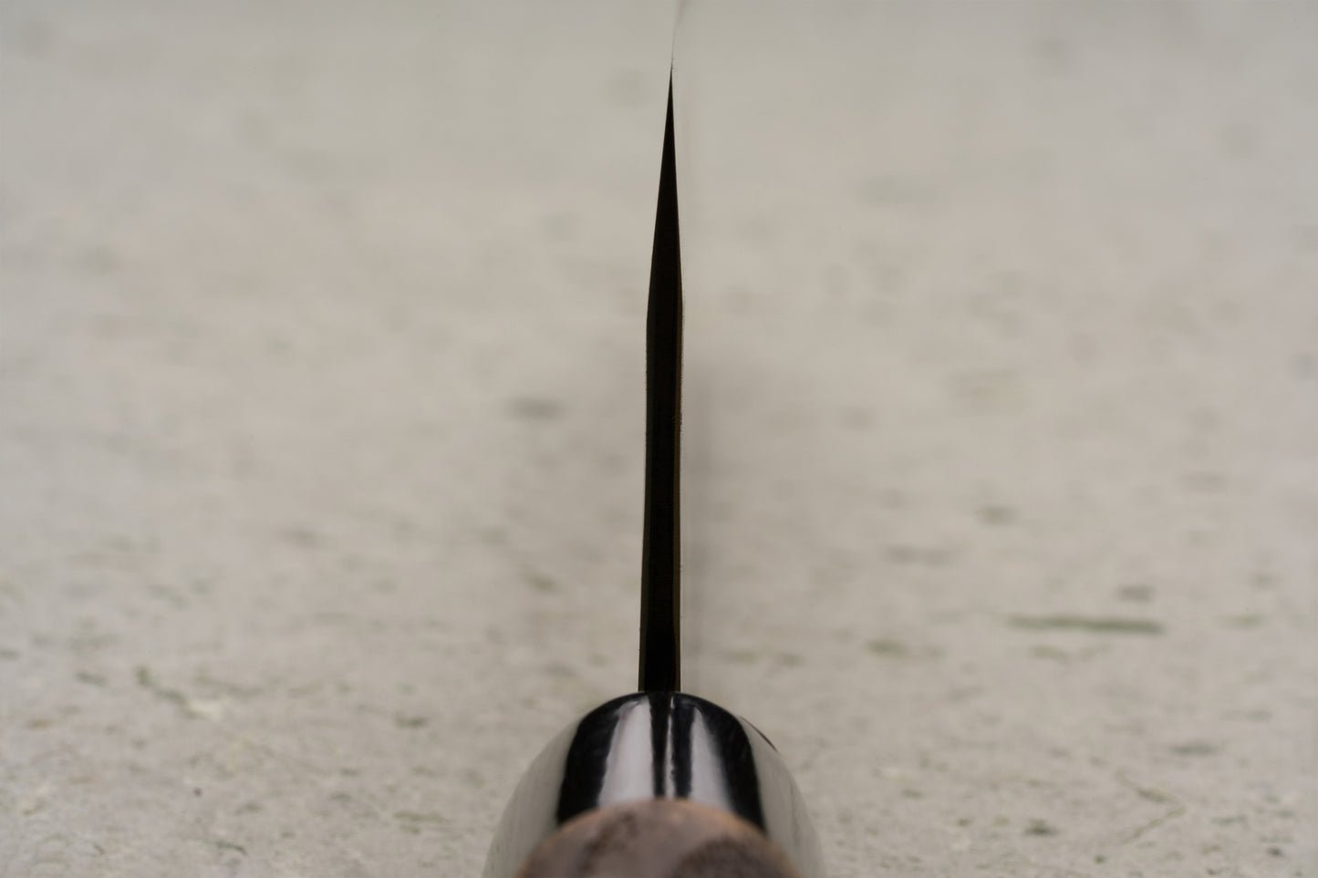 Sadamasa Aogami Stainless Migaki Kiritsuke Gyuto 240mm, viewed edge-on, showcasing its expertly tapered thin blade and burnt chestnut handle, against a light surface, exemplifying Japanese craftsmanship and precision.