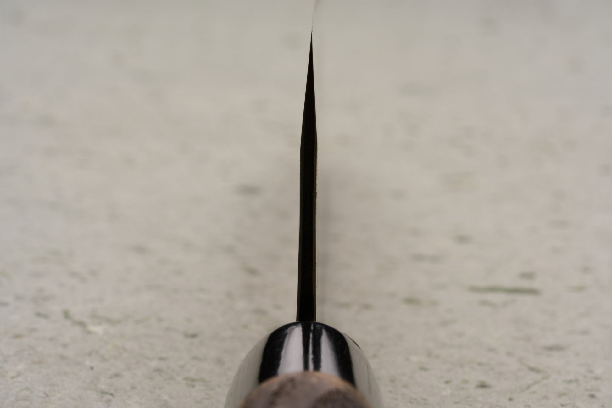 Sadamasa Aogami Stainless Migaki Kiritsuke Gyuto 240mm, viewed edge-on, showcasing its expertly tapered thin blade and burnt chestnut handle, against a light surface, exemplifying Japanese craftsmanship and precision.