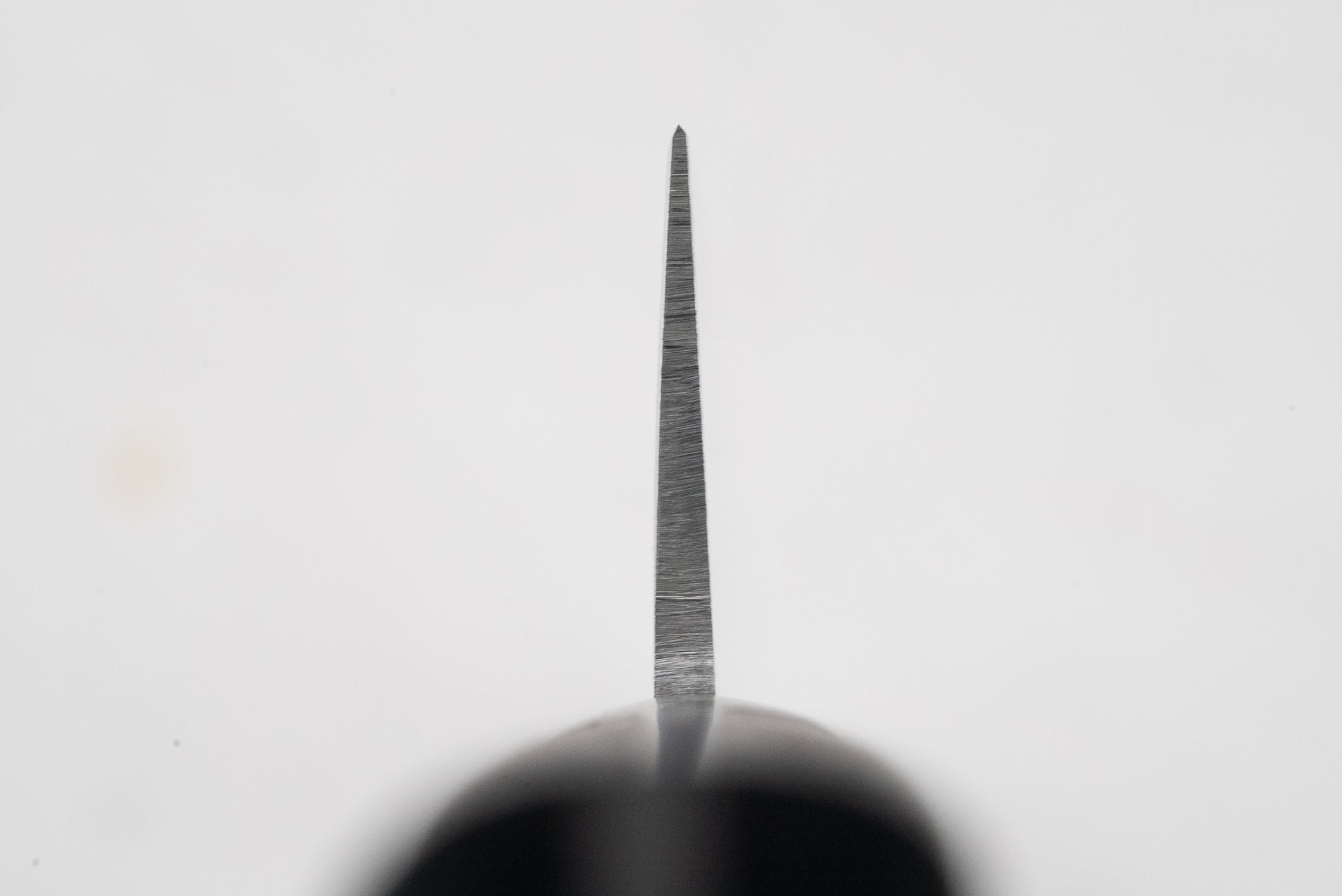 Sakai Takayuki INOX Honesuki 150mm from Sakai Takayuki