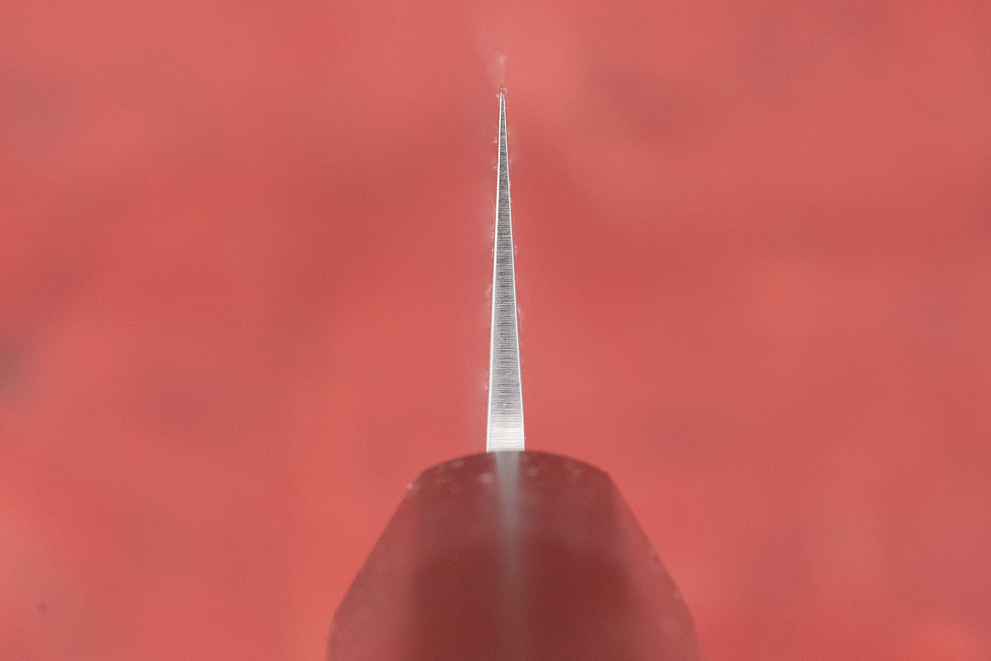 Sakai Takayuki VG10 Nashiji Sujihiki 240mm from Sakai Takayuki