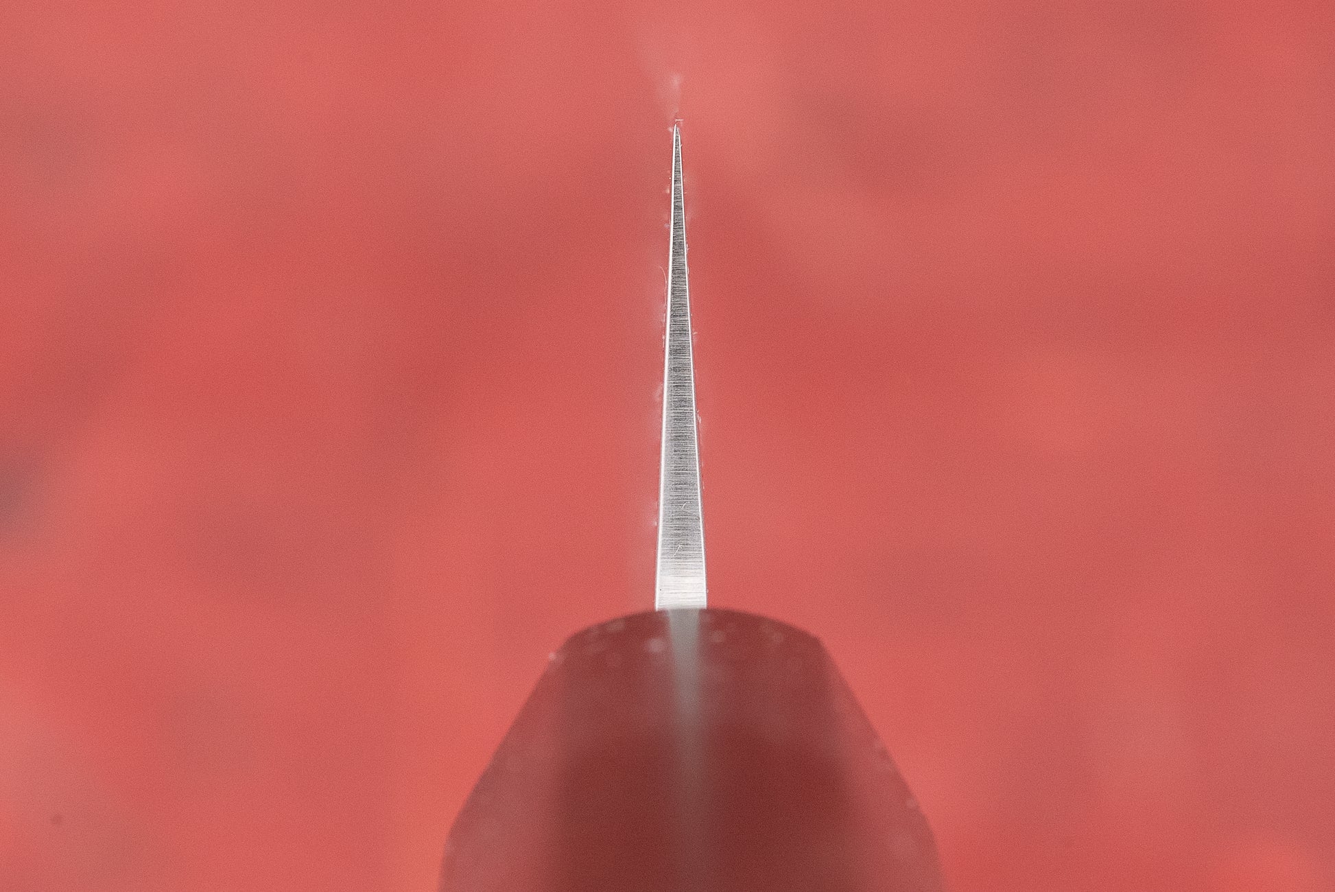 Sakai Takayuki VG10 Nashiji Sujihiki 240mm from Sakai Takayuki