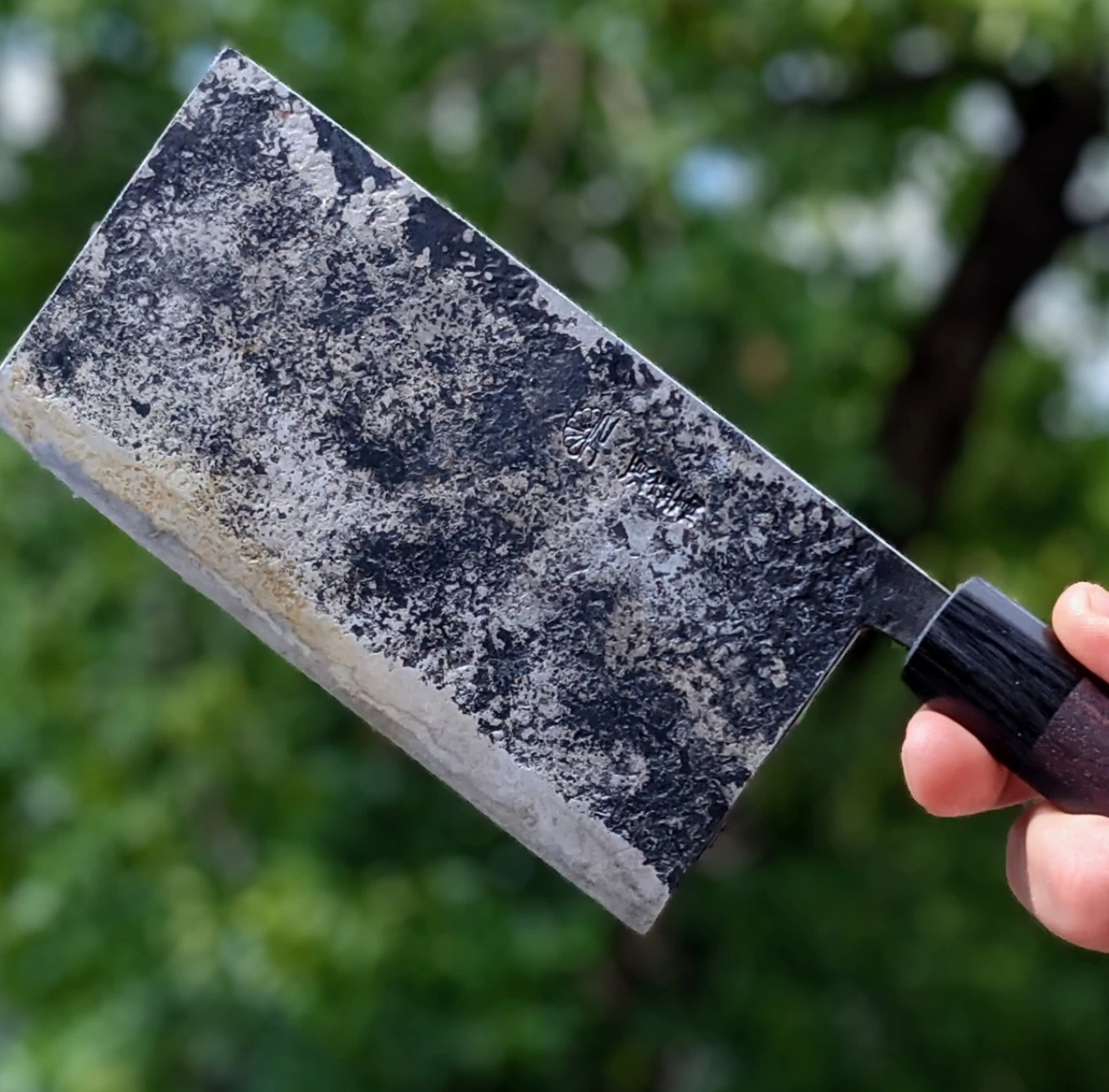 Knifewear's Guide to Carbon Steel Knife Care  Knifewear - Handcrafted  Japanese Kitchen Knives