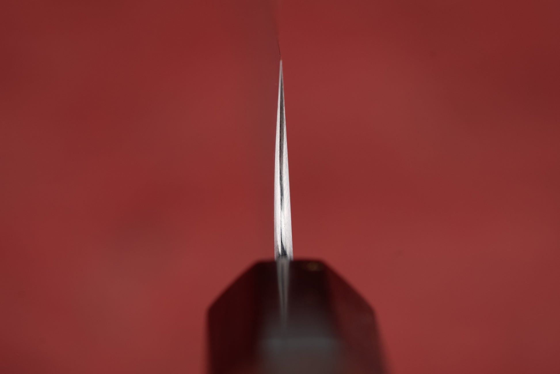 Shibata Koutetsu Type 3 AS Migaki Sujihiki 240mm from Koutetsu