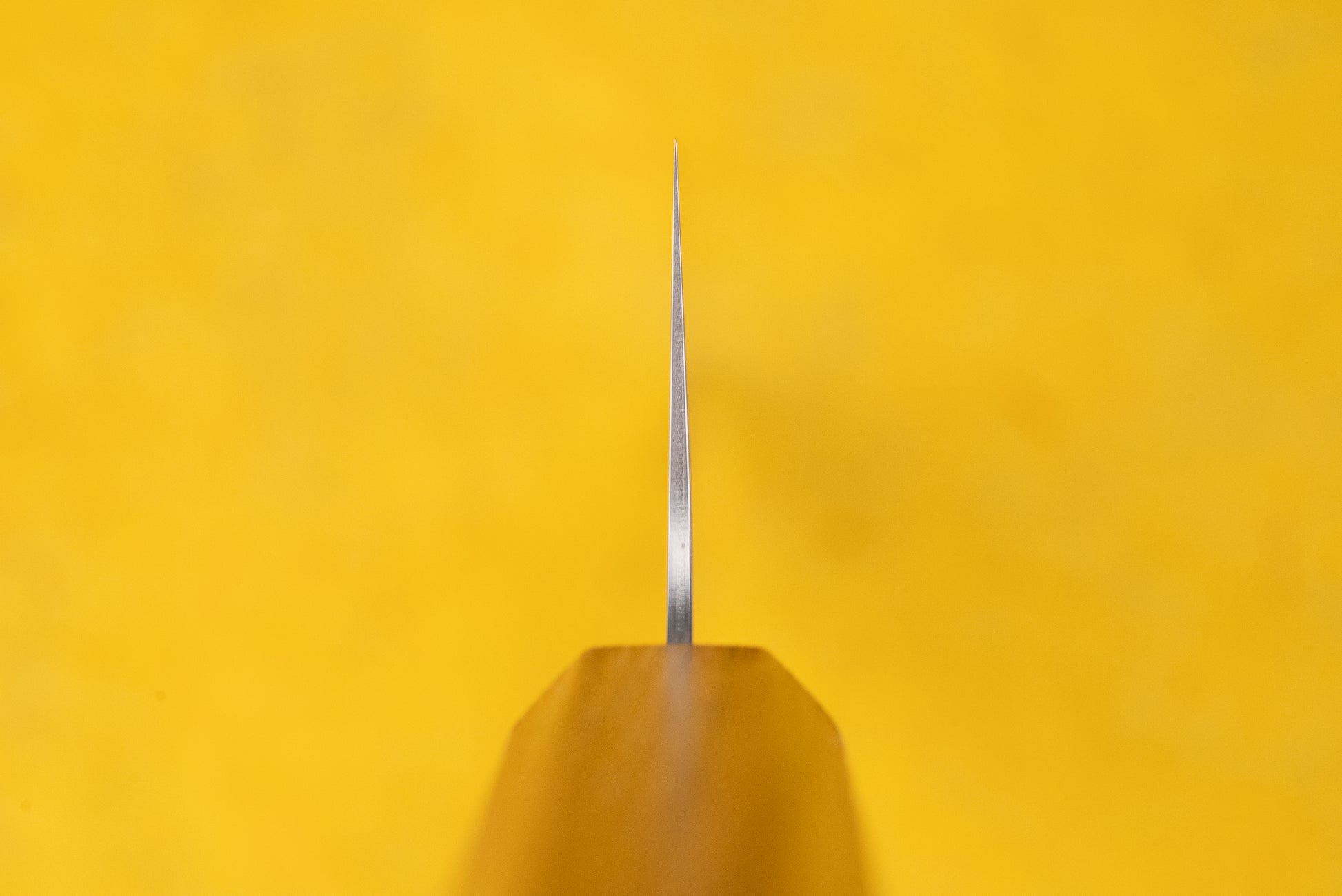 TOJIRO Reppu Kiritsuke Gyuto 210mm from Tojiro