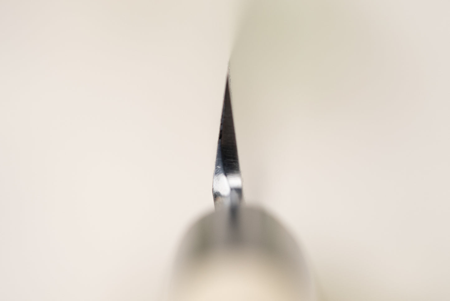 Sakai Takayuki Tokujo Shirogami Yanagiba 240mm from Sakai Takayuki