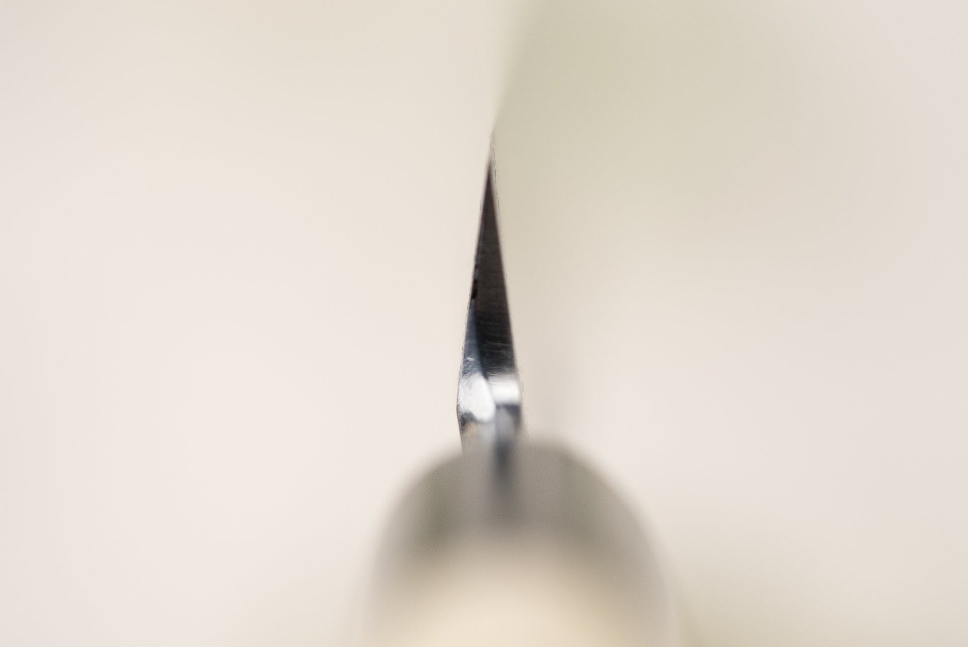 Sakai Takayuki Tokujo Shirogami Yanagiba 240mm from Sakai Takayuki