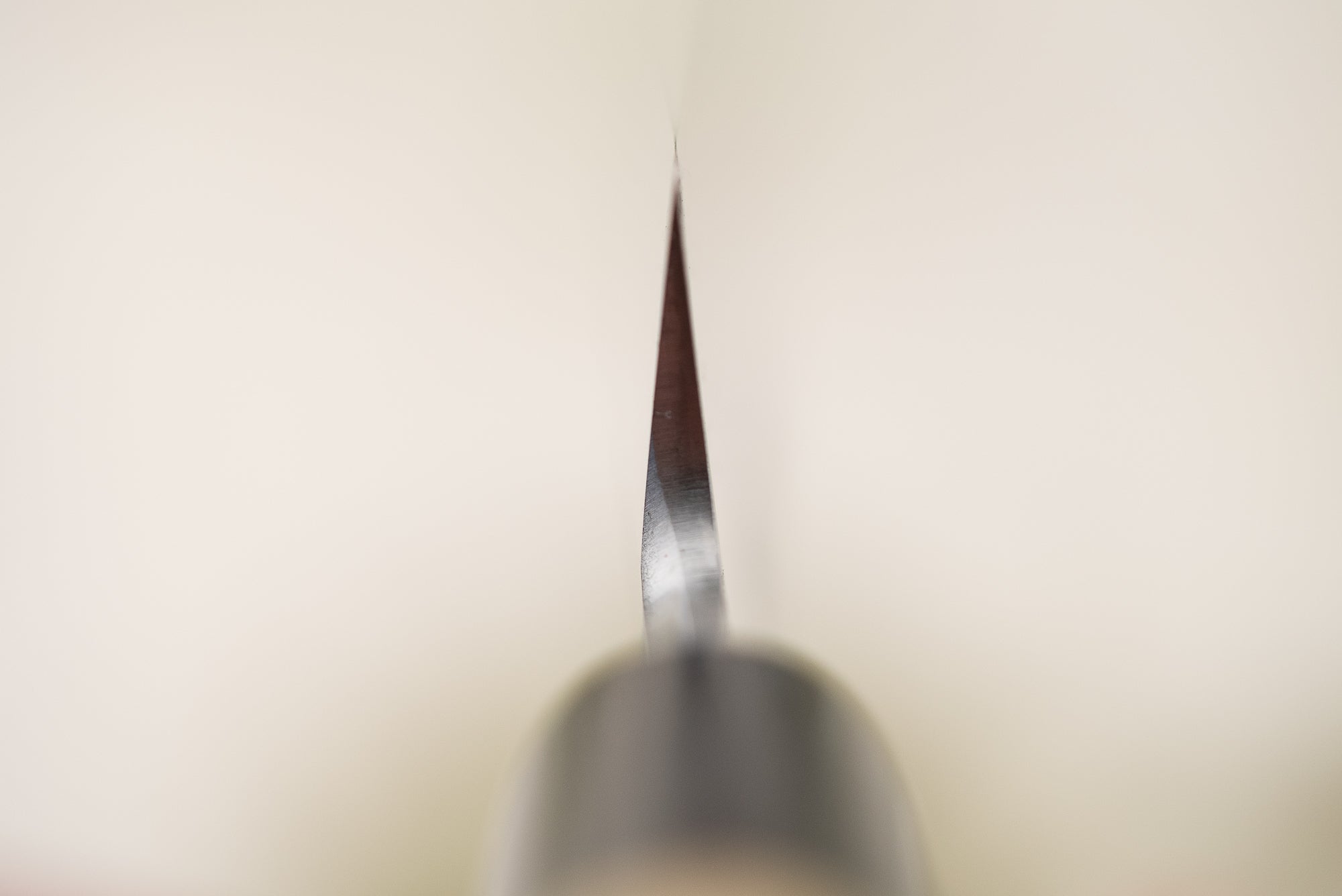 Sakai Takayuki Tokujo Shirogami Yanagiba 300mm – Knifewear