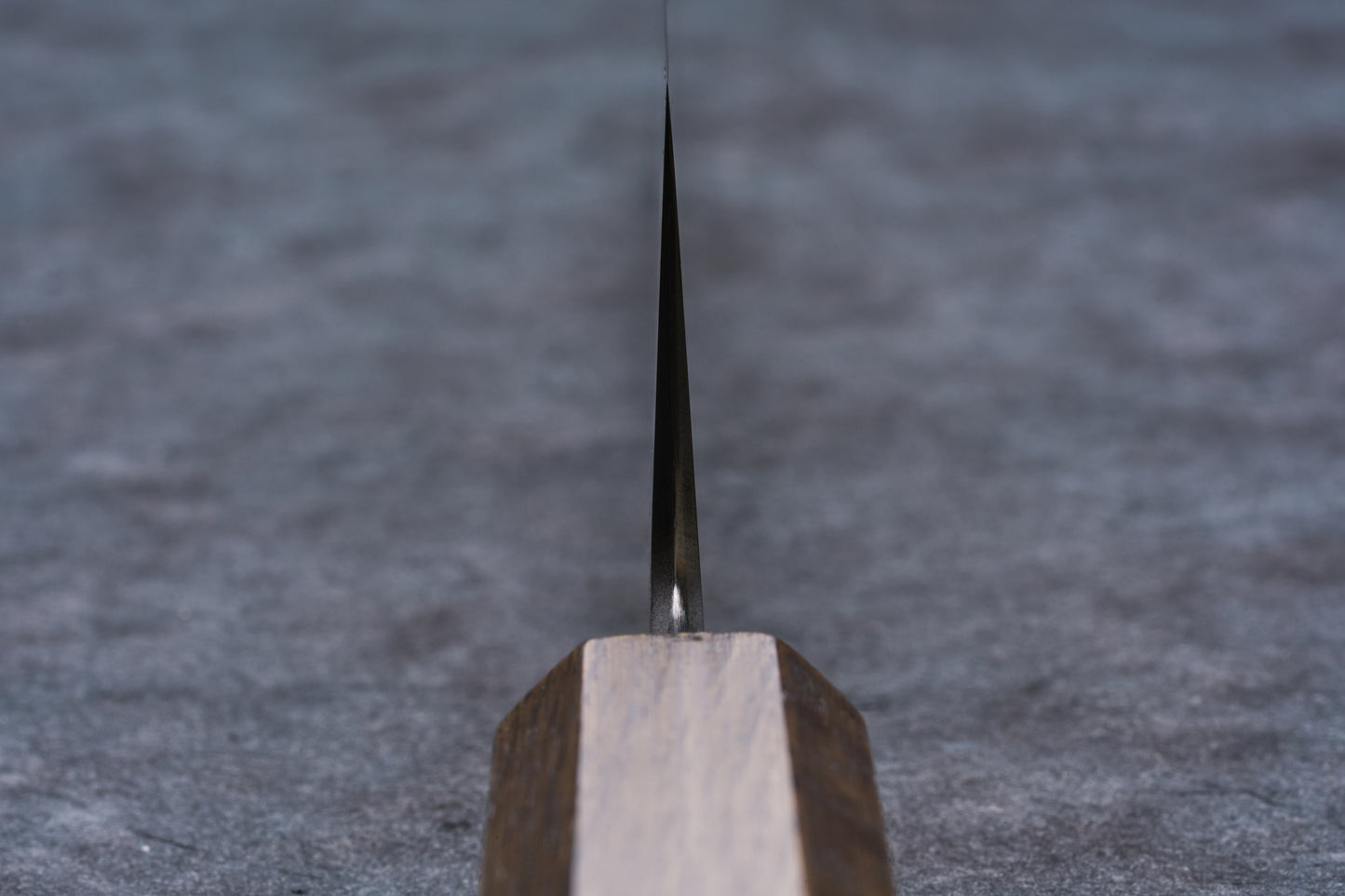 Touroku Sakai EN Gyuto 210mm
