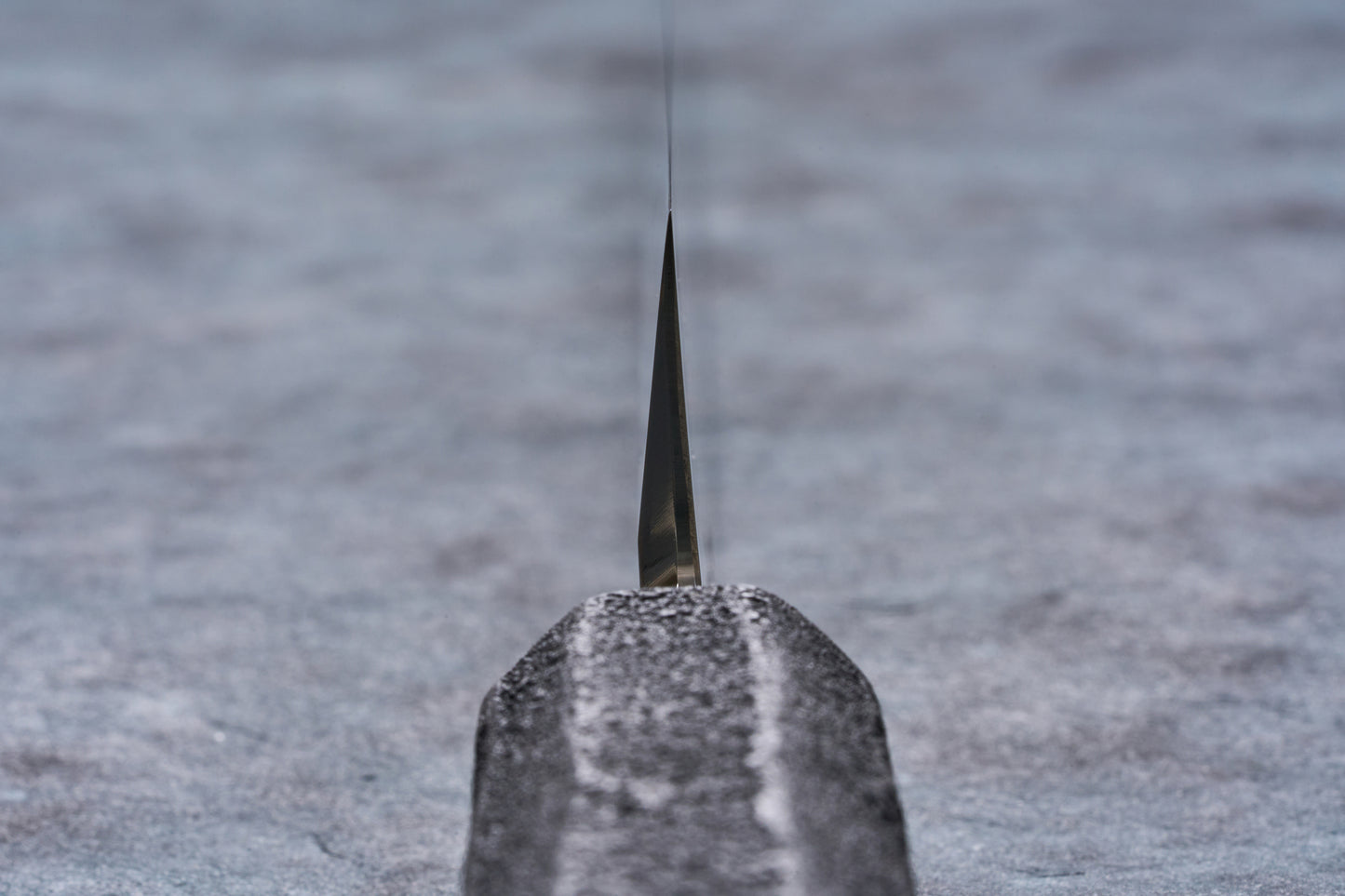 Touroku Sakai Nakagawa x Shimizu Ginsan Sakimaru Yanagiba 300mm