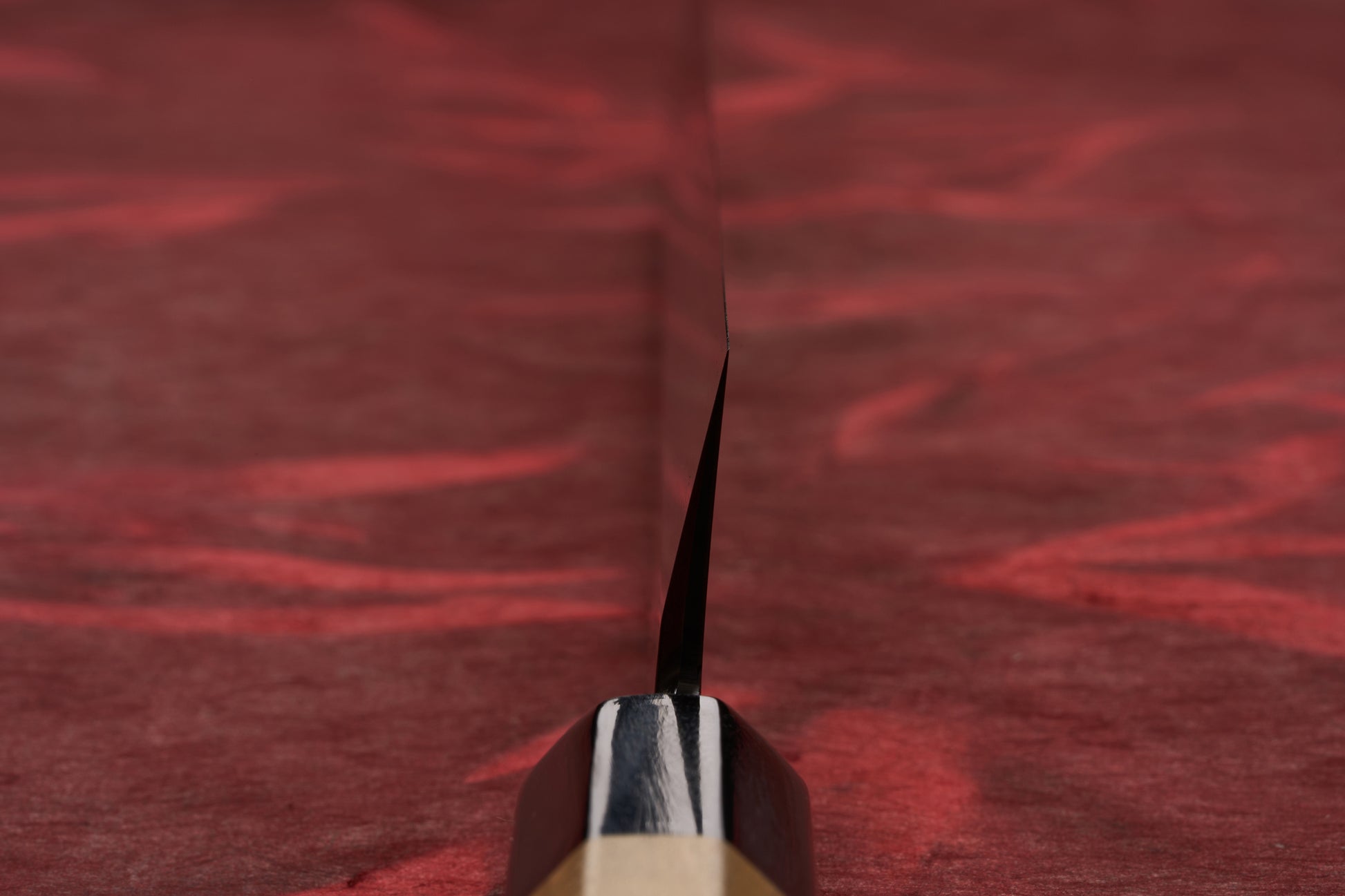 Touroku Sakai Tohwa Shirogami Yanagiba 300mm knife, captured from the edge perspective, showcasing its precise, single-bevel blade and part of its wooden/black handle against a textured red background.