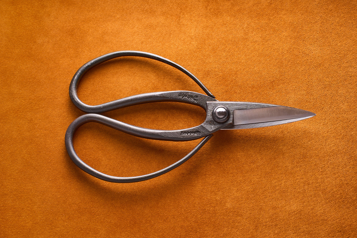 Garden scissors, shears, snips, and pruners: What is the difference?