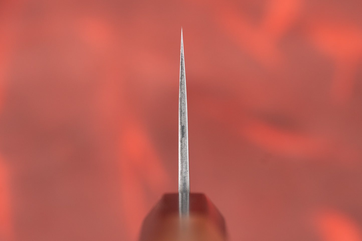 Toshihiro Wakui Shirogami Stainless Migaki Santoku 180mm