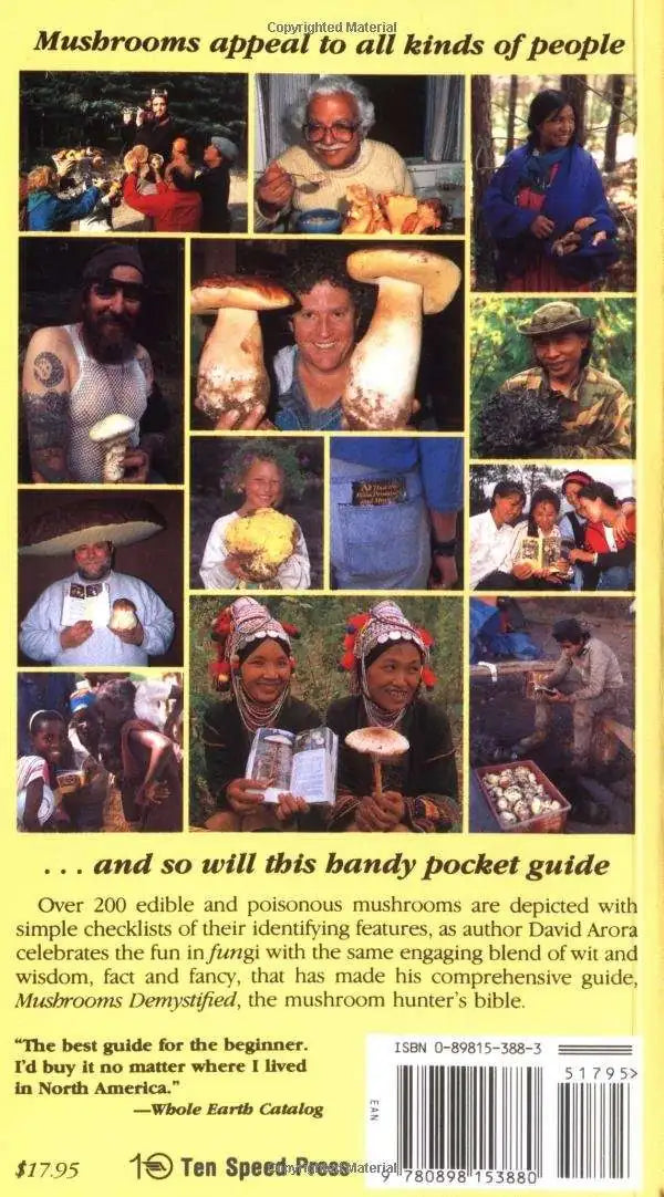 All That the Rain Promises and More from Penguin Random house