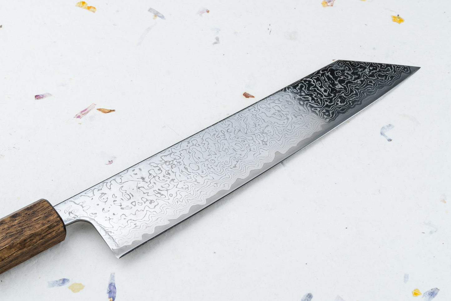 Tsunehisa Jugo 拾伍 VG10 Nickel Damascus Kiritsuke 210mm