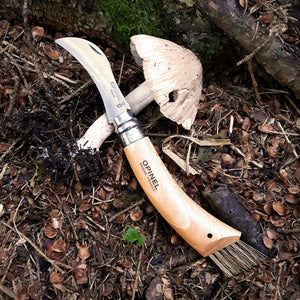 Opinel Inox No.08 Folding Mushroom Hunter’s Knife with Brush