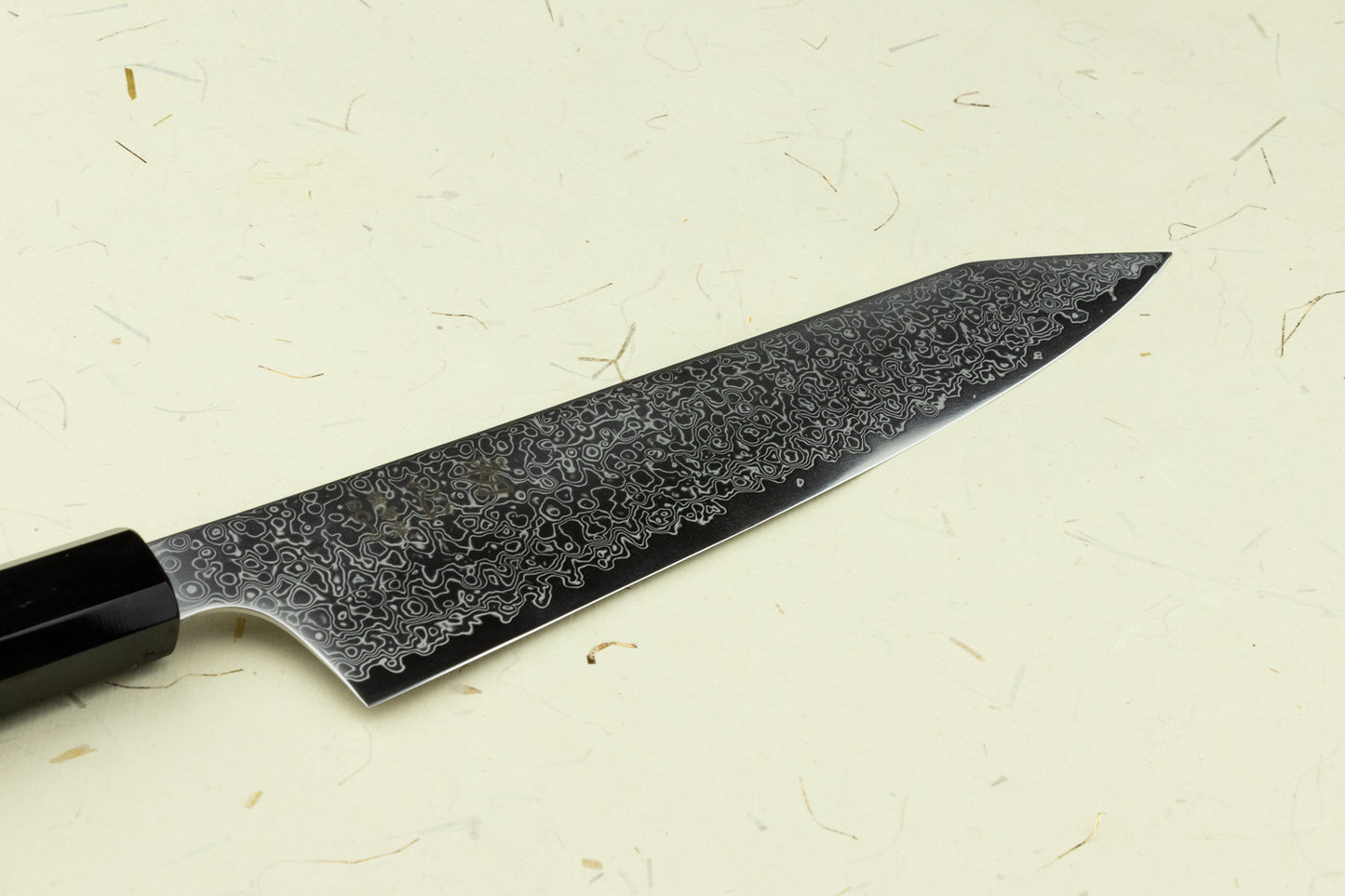 Hatsukokoro Saihyo SG2 Kiritsuke 210mm