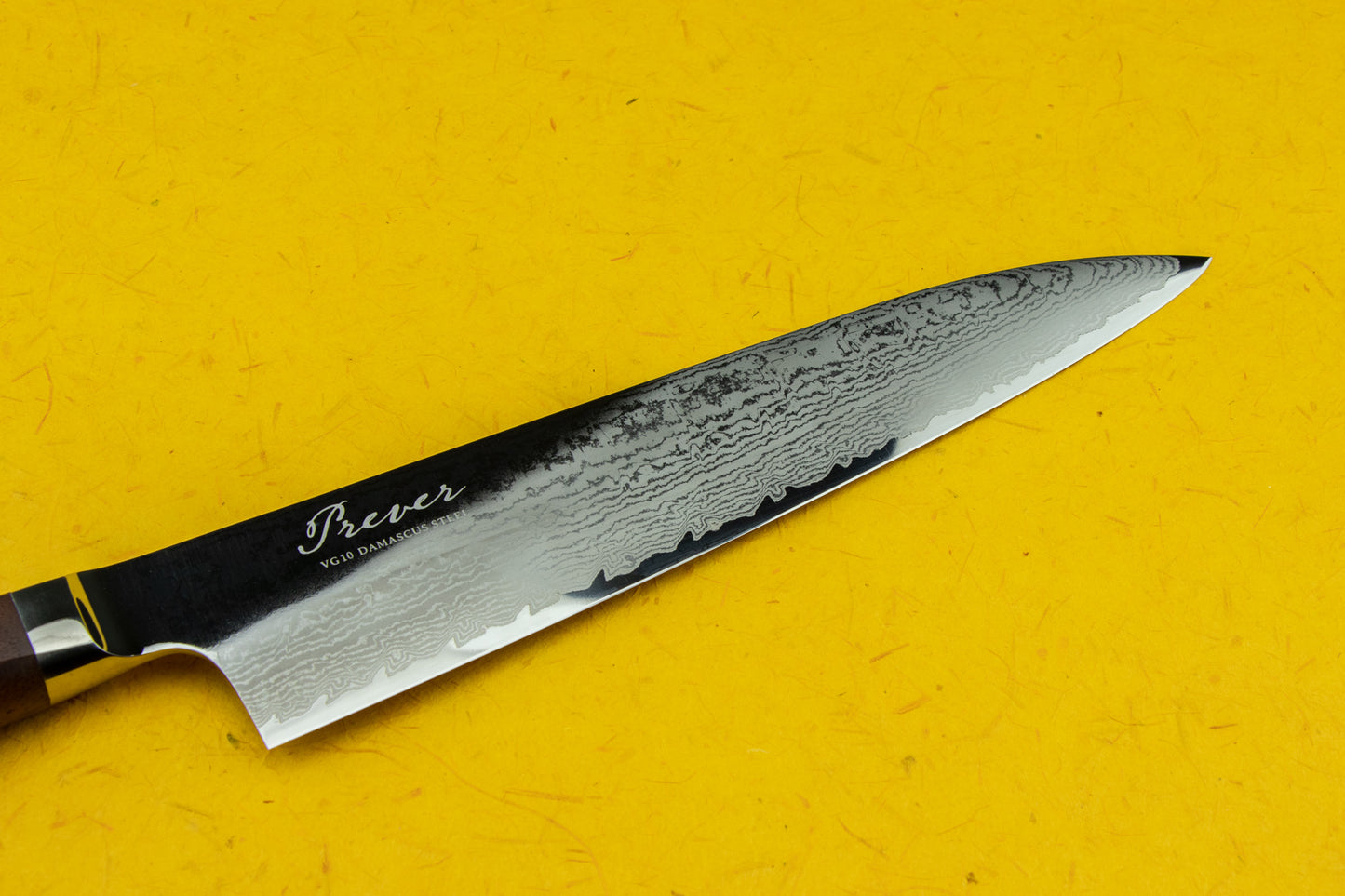 Ryusen Prever Gyuto 210mm