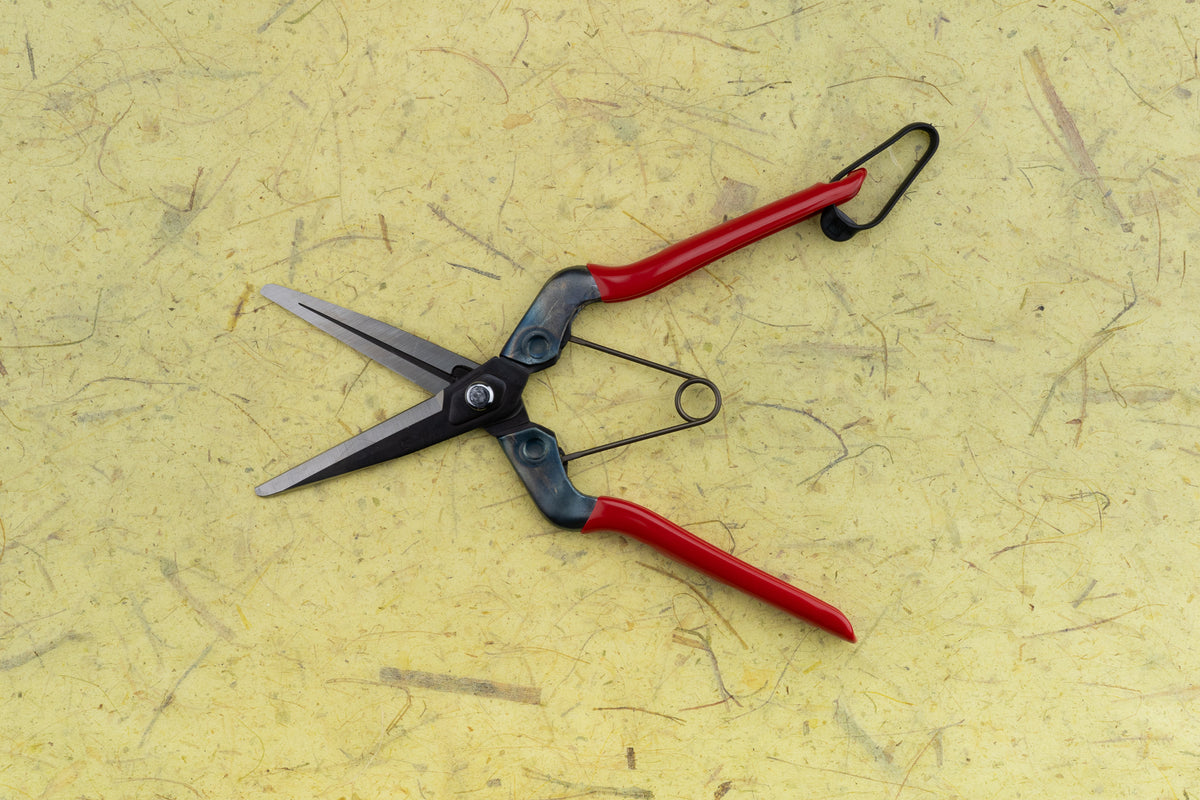 Chikamasa Herb Snips from Chikamasa