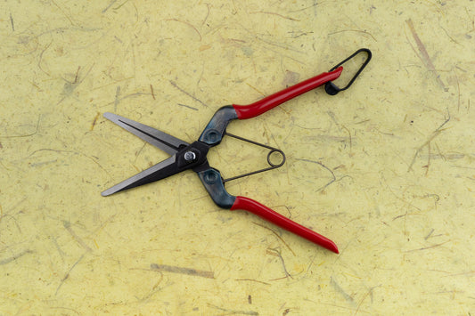 Chikamasa Herb Snips