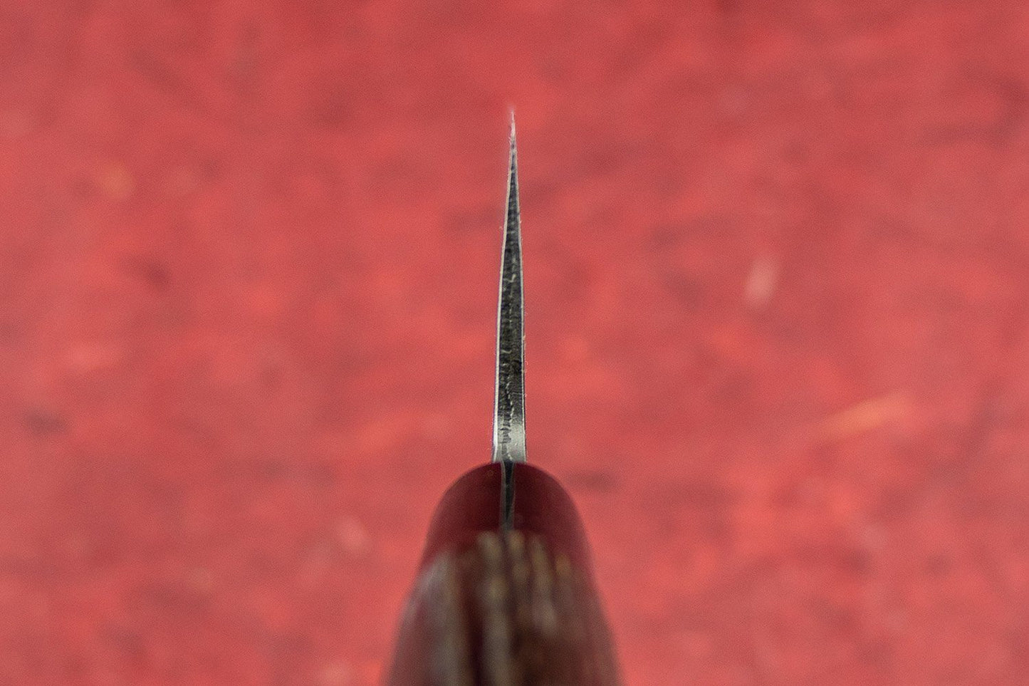 Fujimoto Nashiji Gyuto 240mm