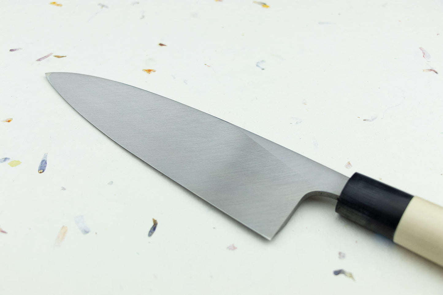 Sakai Takayuki AUS-8 INOX Deba 210mm