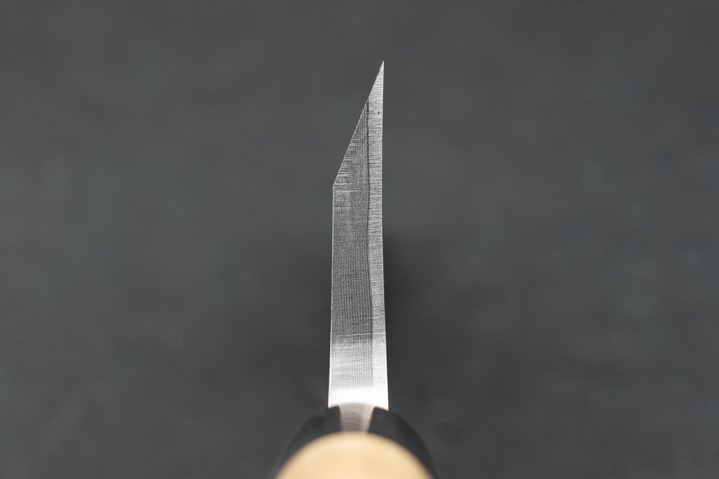 Tasai Aogami Damascus Deba 165mm