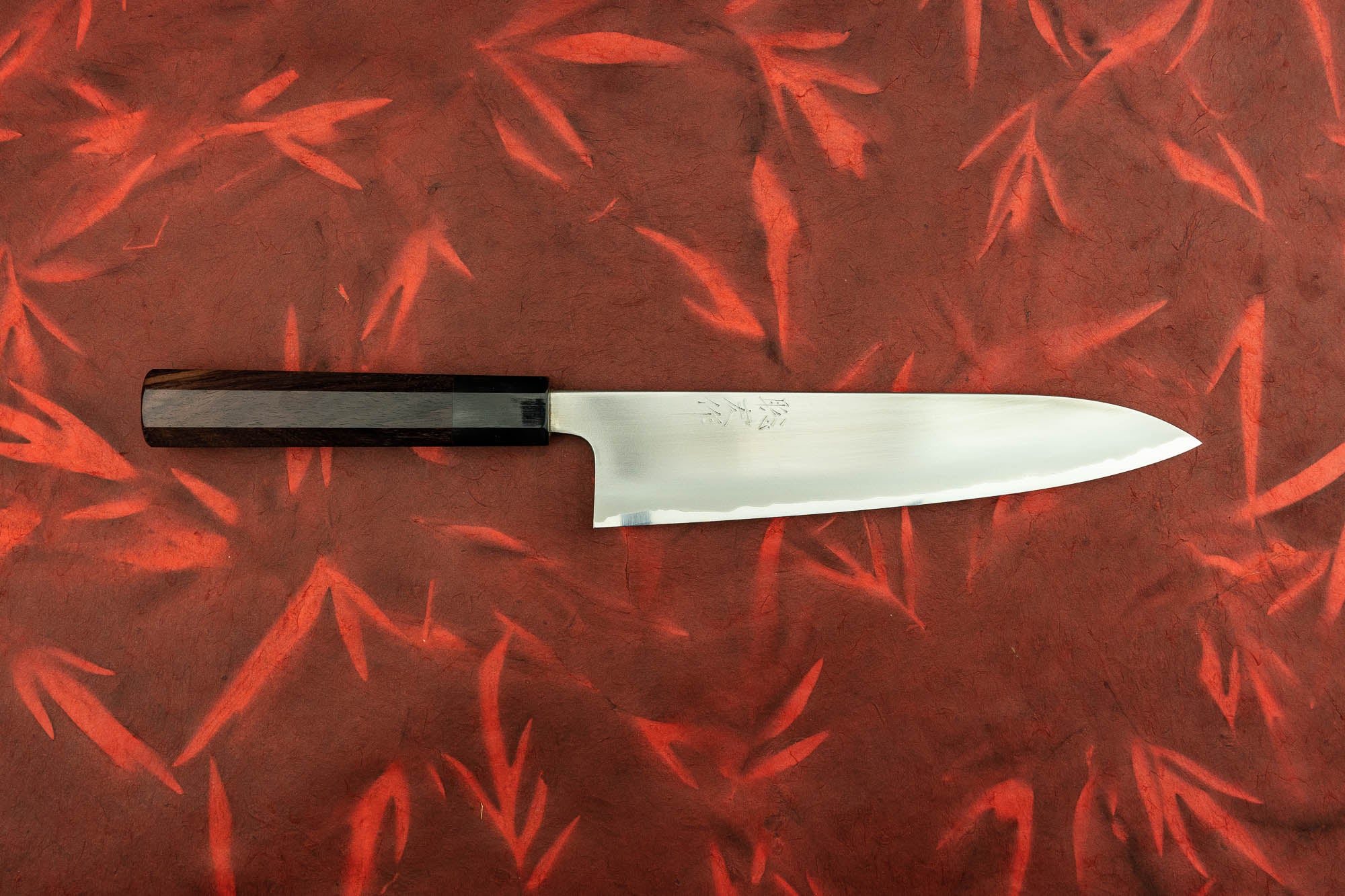 Toshihiro Wakui Shirogami Stainless Migaki Gyuto 210mm